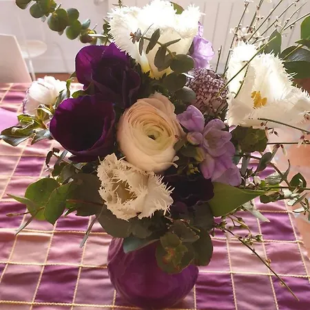Panzió La Des Violettes