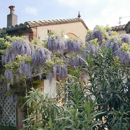 La Des Violettes