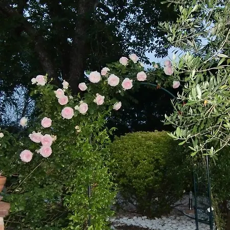 La Des Violettes Panzió *